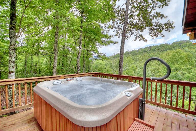 Cabin  Cherry Log